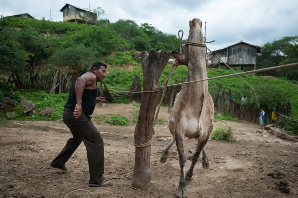 Ciénega- ngôi làng không có trẻ em ảnh 10